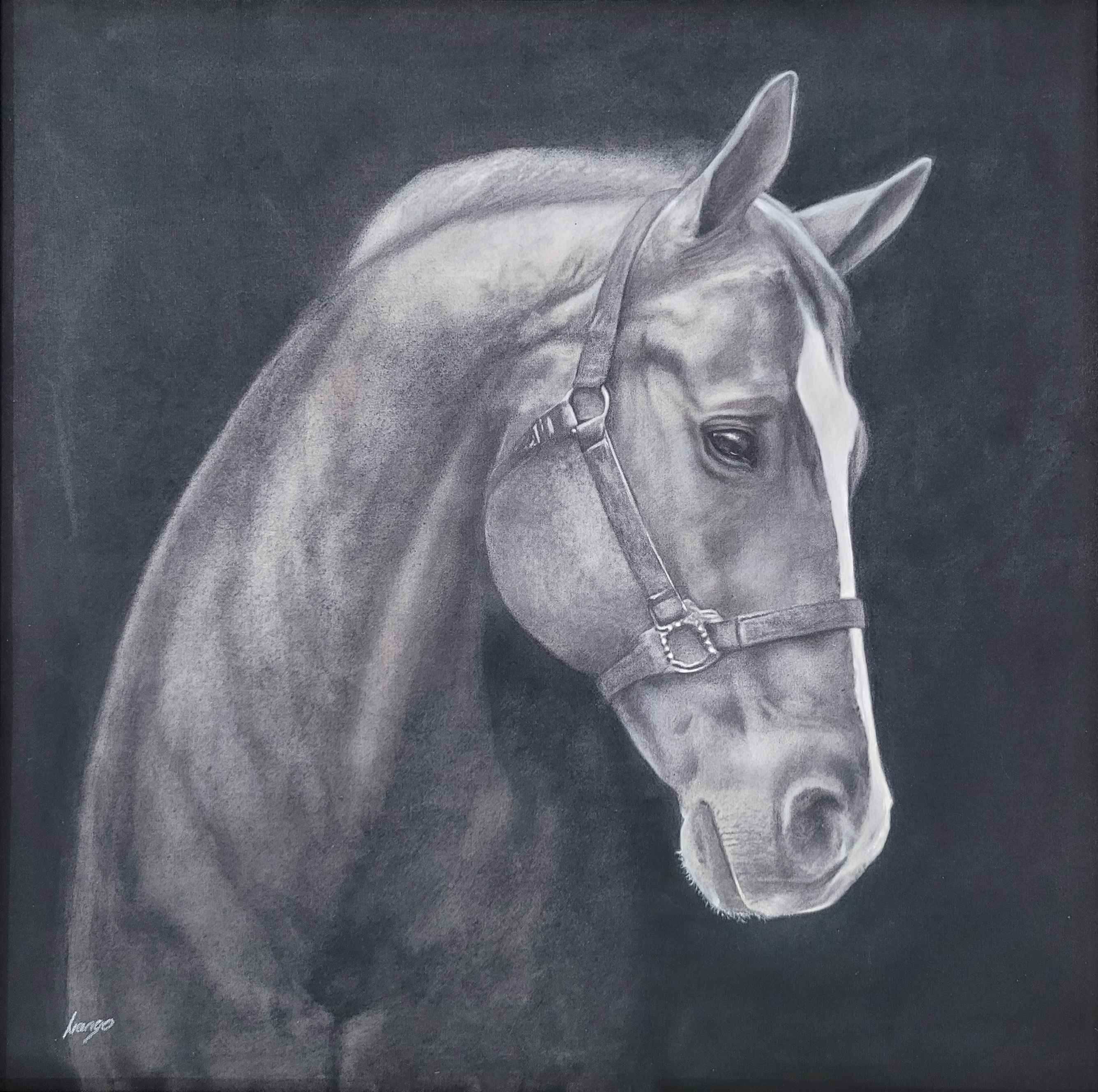 Sand Blaster_1687303122.jpg